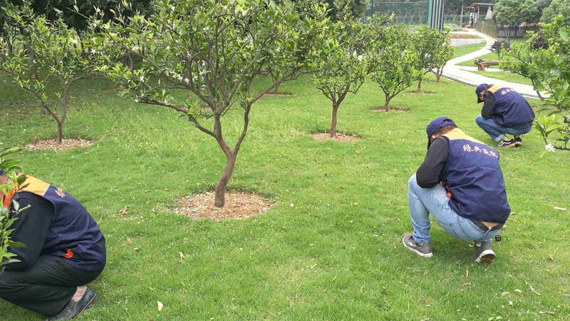 植物墙维护费用：一年多少钱，你了解多少？**