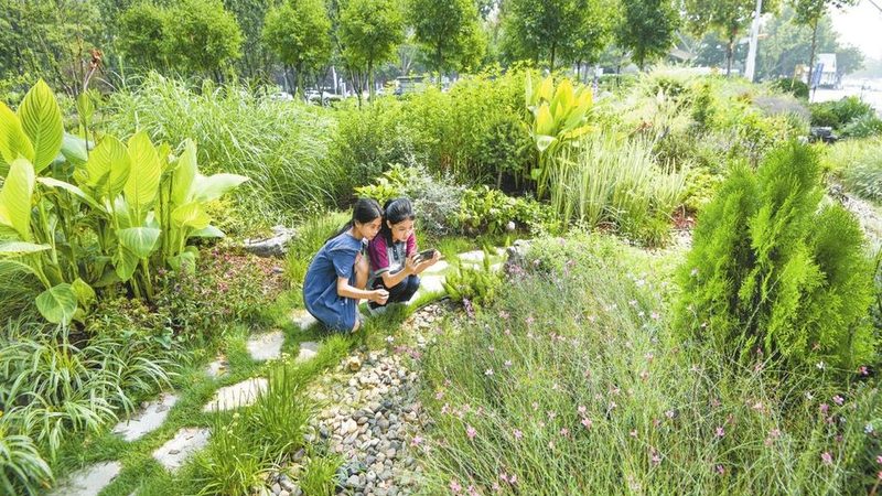 室内立体绿化墙：人工绿植与真植物的区别解析