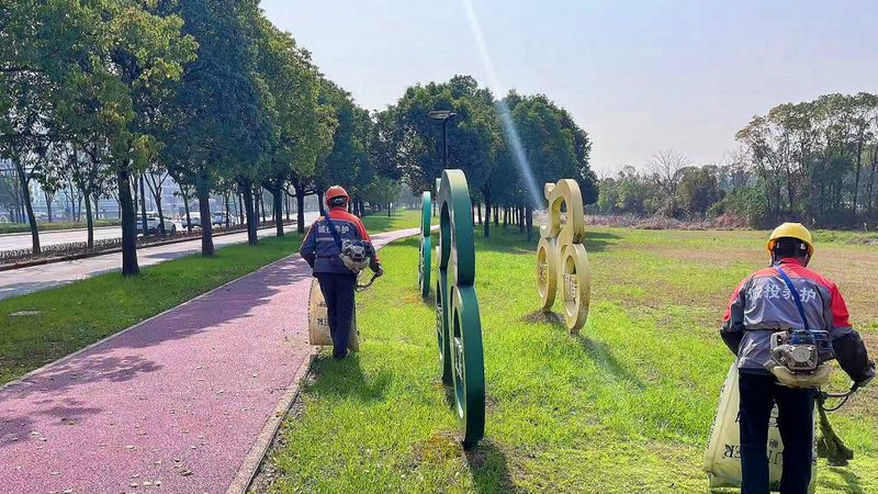 办公室绿植租摆，如何选对价格？**