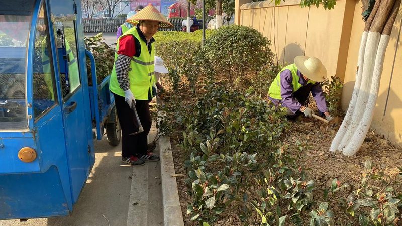 园林绿化工程监理资质要求解析**