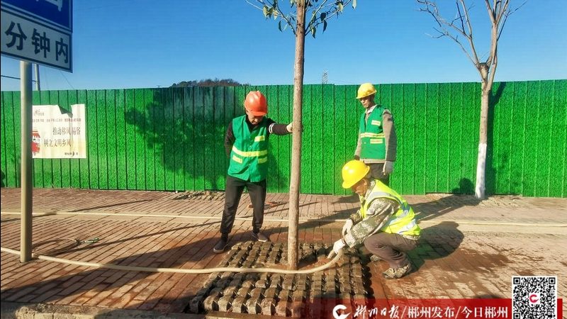 园林公司注册代办：揭秘流程与费用构成