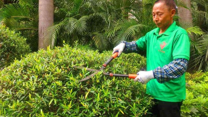 小区园林绿化土建施工流程解析