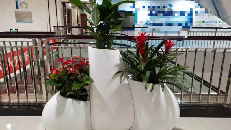 园林植物搭配：打造生态和谐之美**