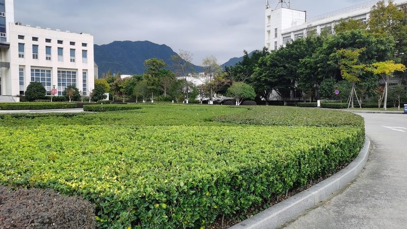 苗木种植基地批发价格表揭秘：如何理性选择？**