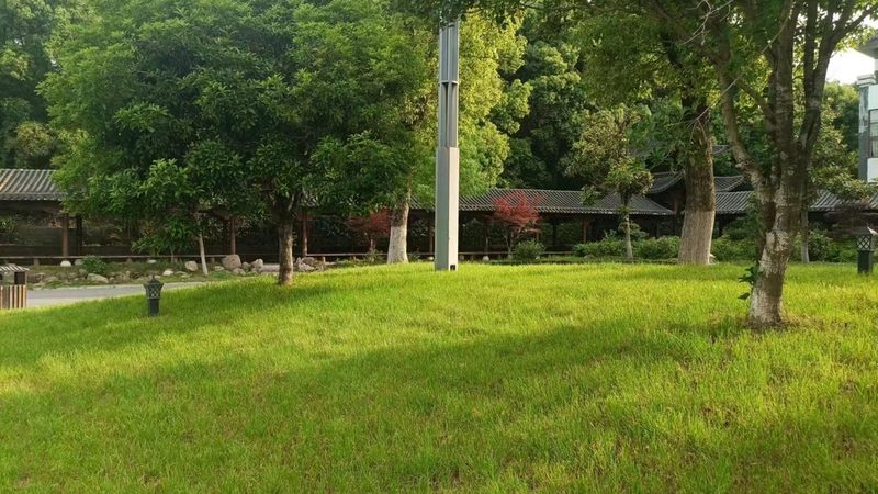 绿化工程招标文件常见问题解析